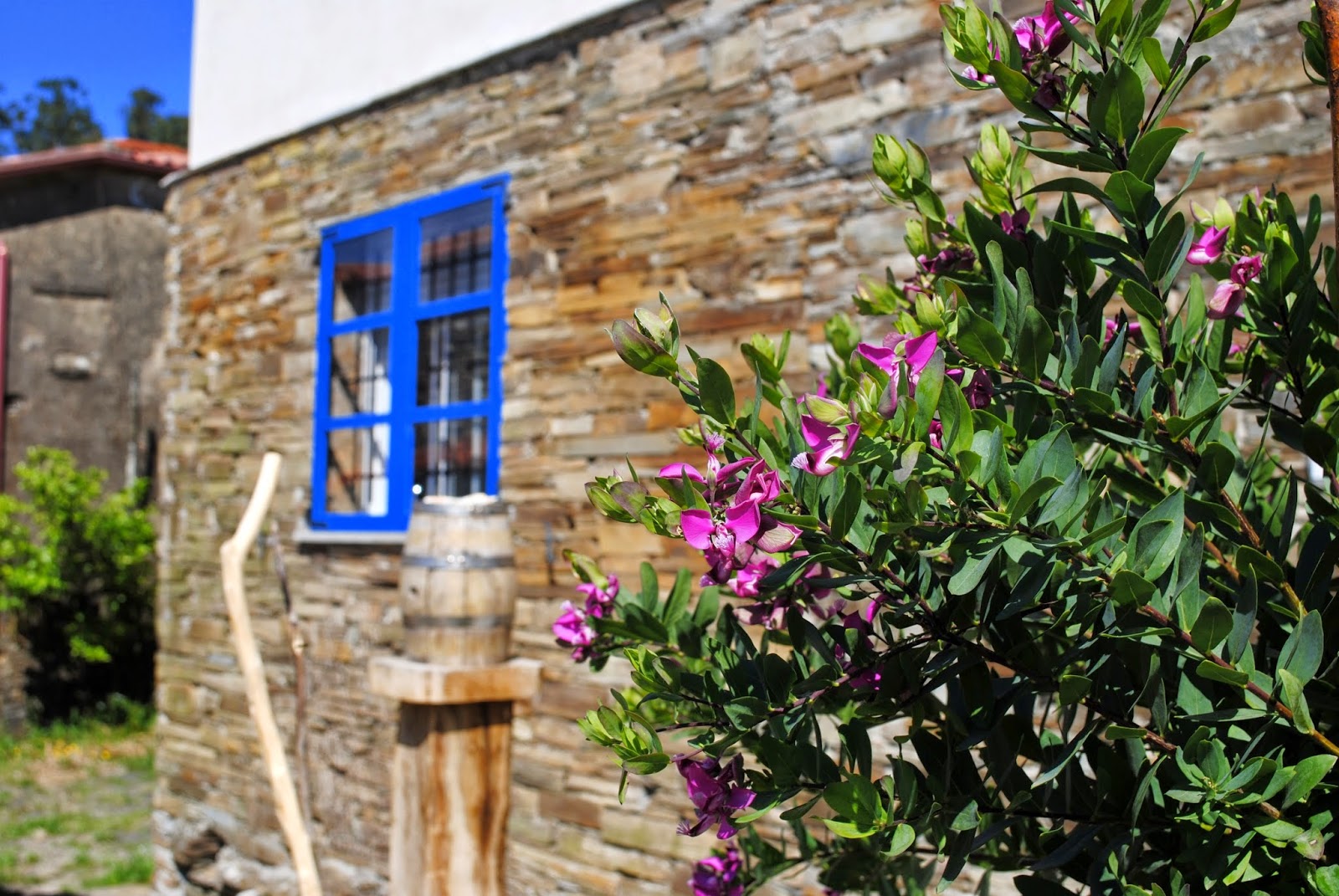 Albergue Rural Astrar photo 5, albergue accommodation in Santa Irene on the Camino Frances