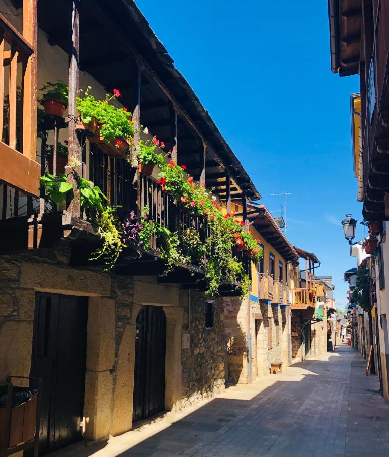 Casa Rural María, accommodation listing in Molinaseca on the Camino Frances