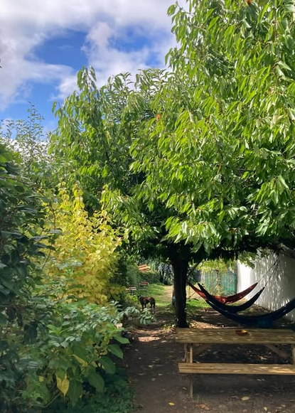 Meiga BackPackers photo 30, albergue accommodation in Santiago de Compostela on the Camino Frances