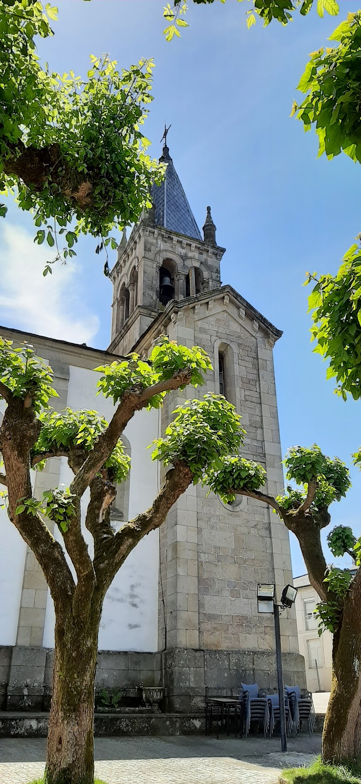 Travesia Rooms photo 7, accommodation listing in Sarria on the Camino Frances