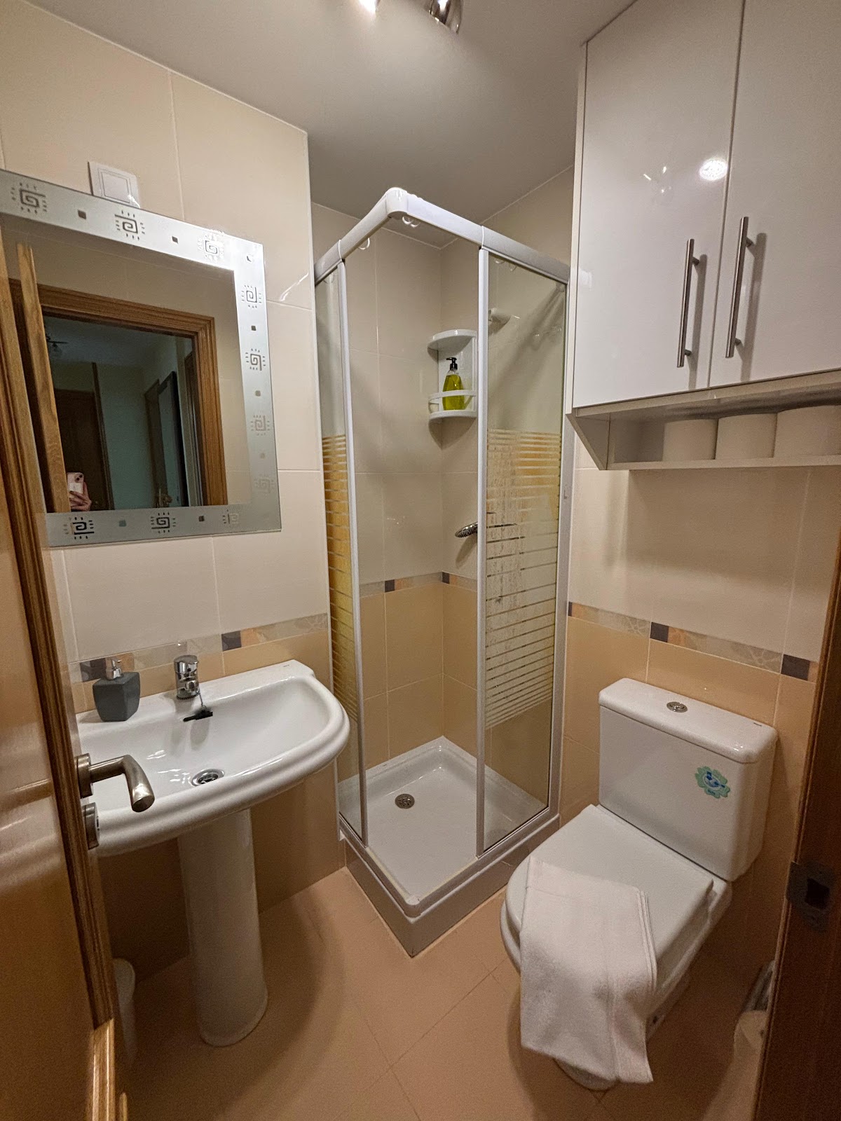 Alojamiento Morriña photo 2, guesthouse accommodation in Pedrouze / Arca on the Camino Frances