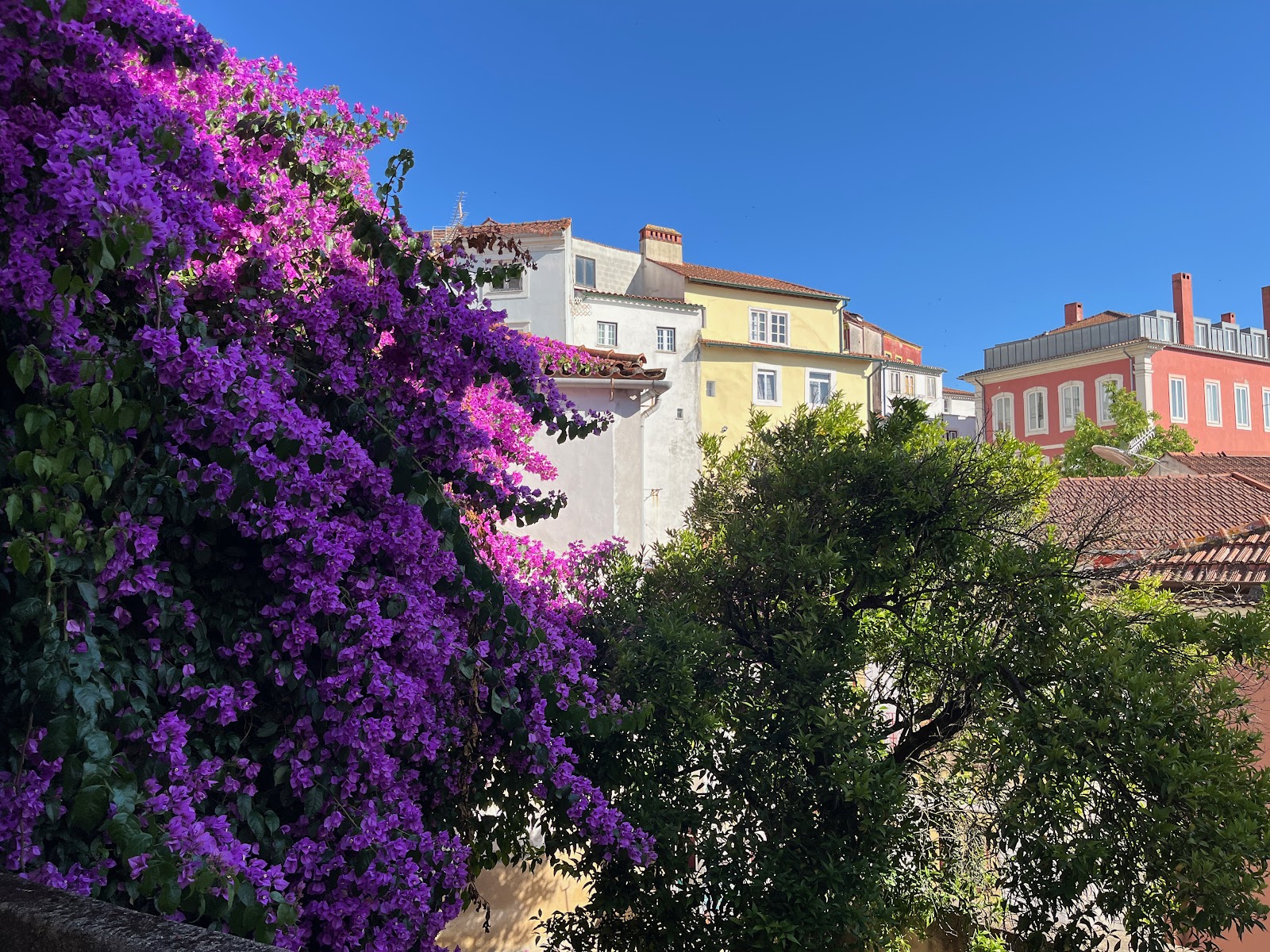 SOBRE RIBAS 2|12, accommodation listing in Coimbra on the Camino Portuguese
