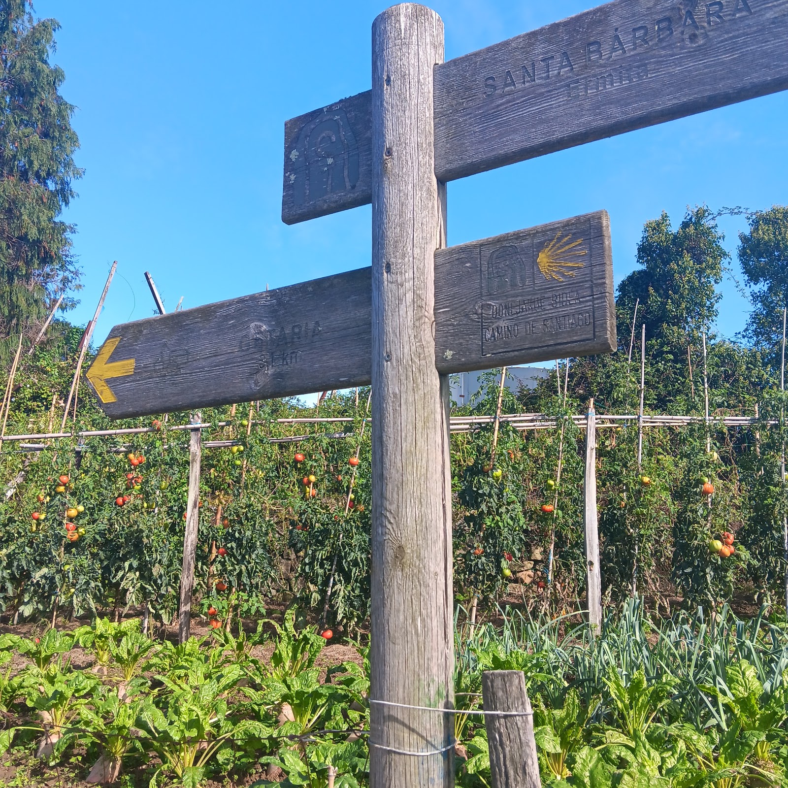 HEGO HAIZE ALBERGUE-HOSTEL en ZARAUTZ, albergue accommodation in Zarautz on the Camino del Norte