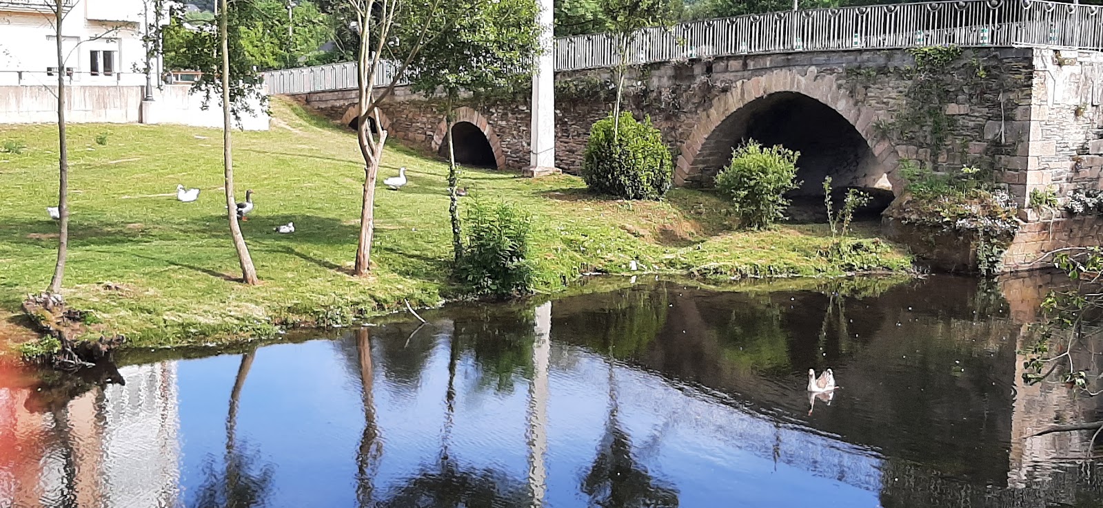 Travesia Rooms photo 6, accommodation listing in Sarria on the Camino Frances
