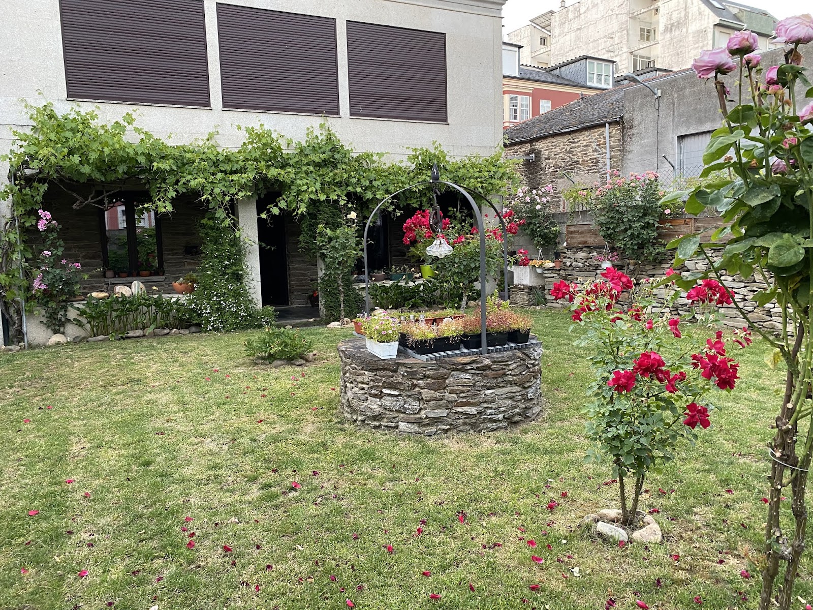 XARDÍN DE ESTRELAS photo 4, guesthouse accommodation in Sarria on the Camino Frances