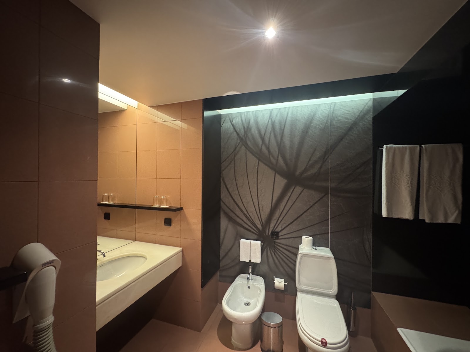 Hotel Dighton photo 17, hotel accommodation in Oliveira de Azemeis on the Camino Portuguese