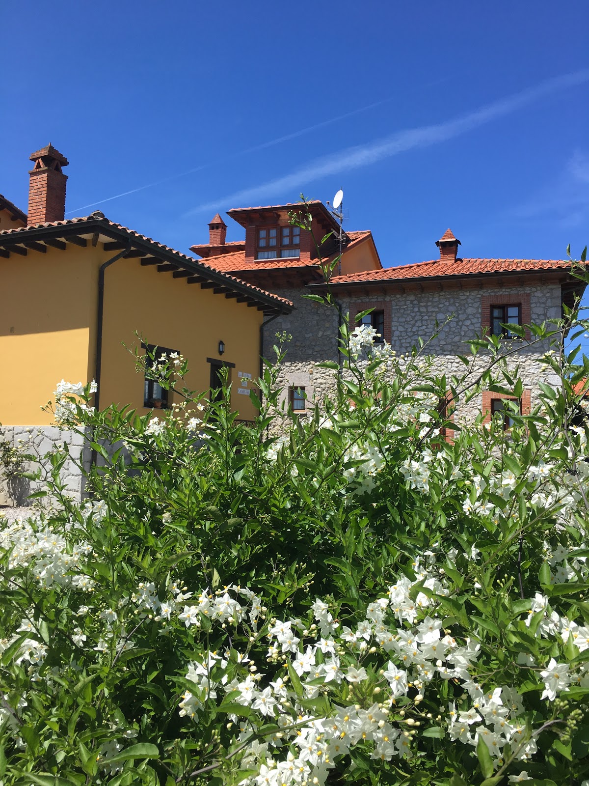 Casa Rural la Llosa del Canonigu, guesthouse accommodation in Piñeres on the Camino del Norte