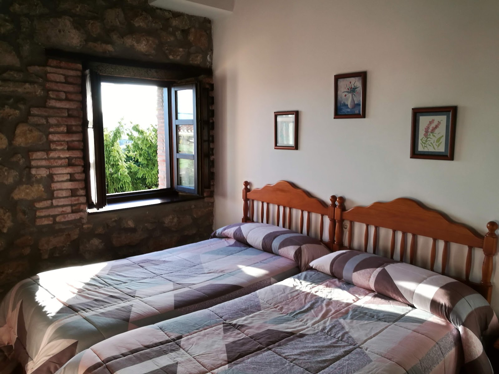 Casa Albertino photo 2, guesthouse accommodation in Casa Albertino on the Camino del Norte