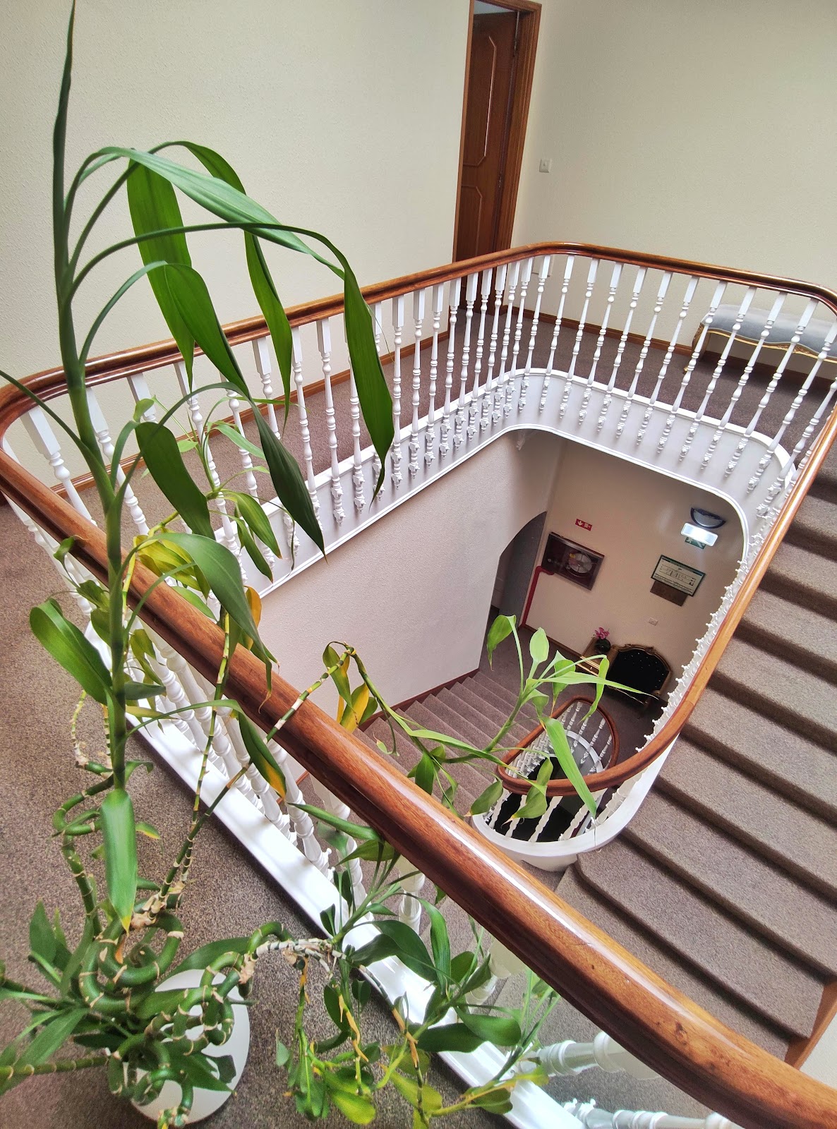 Lusitana Hotel photo 7, hotel accommodation in Porto on the Camino Portuguese