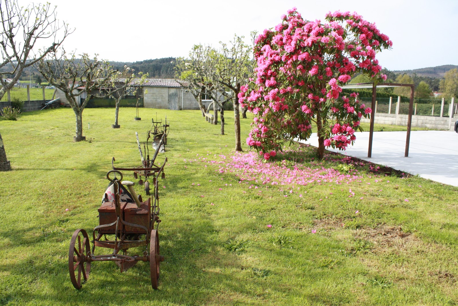 O fogar de Maru photo 8, albergue accommodation in Lavacolla on the Camino Frances