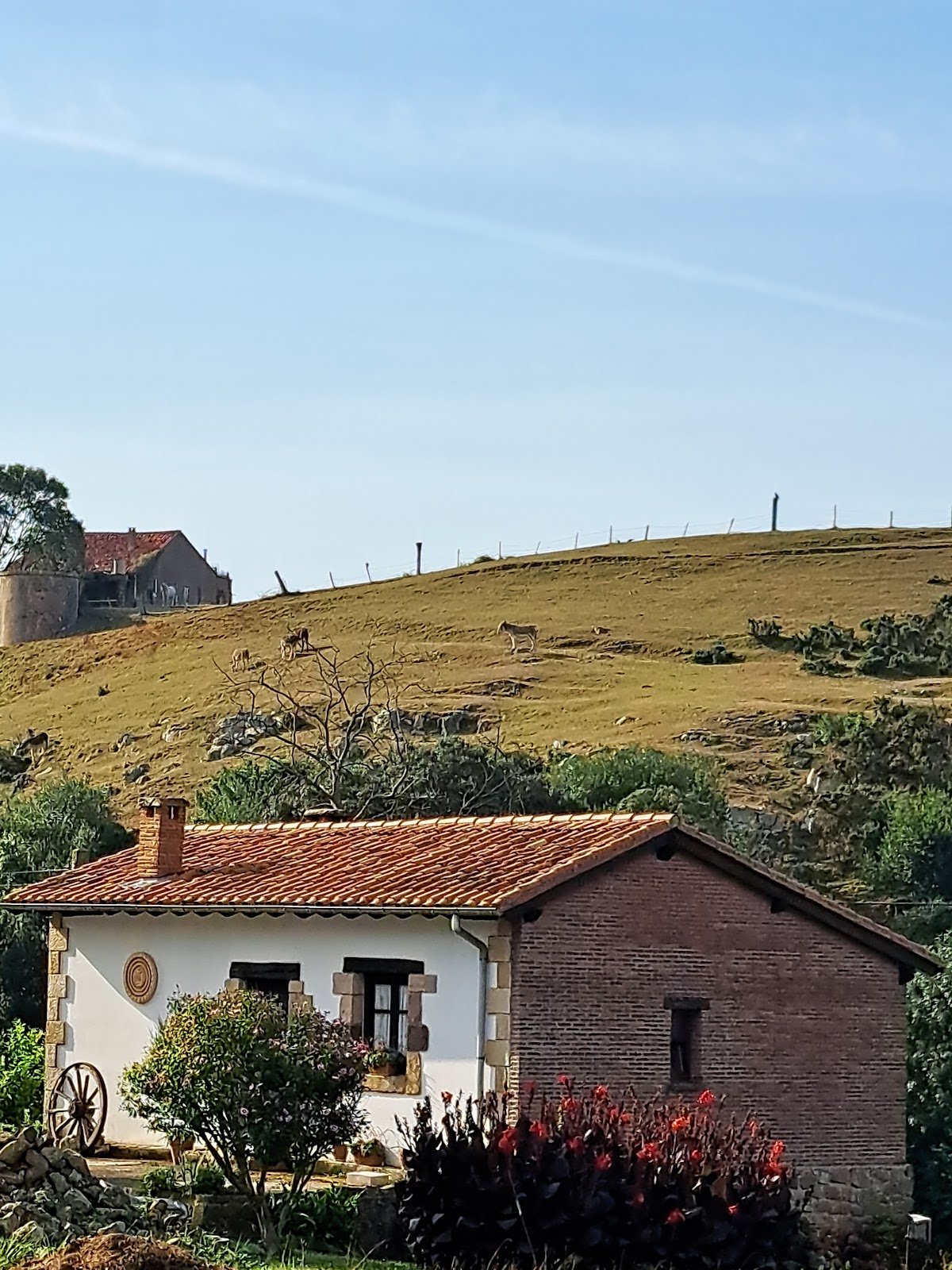 La Oliva photo 8, albergue accommodation in Oreña on the Camino del Norte