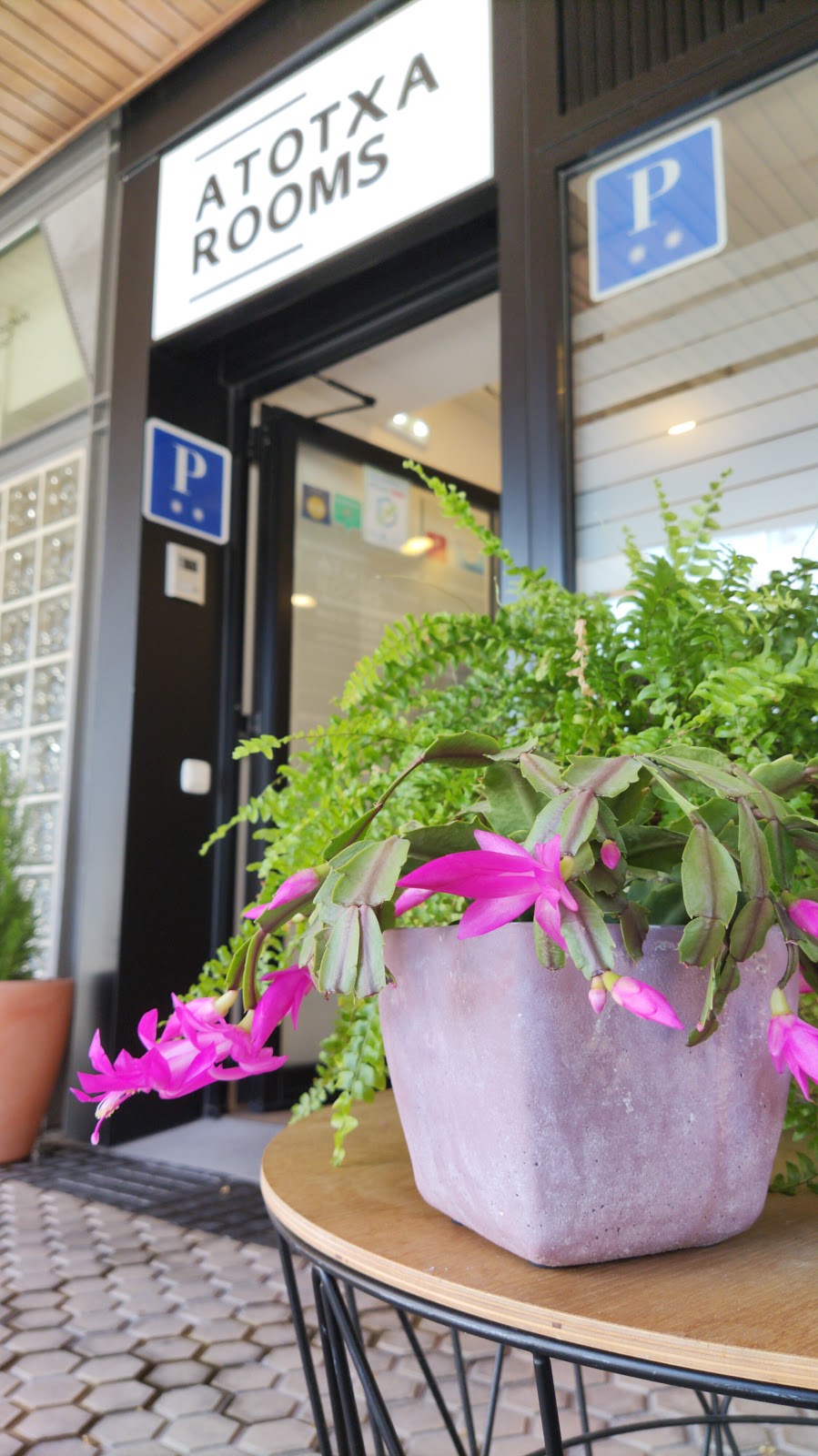 Atotxa Rooms photo 6, pension accommodation in San Sebastian on the Camino del Norte