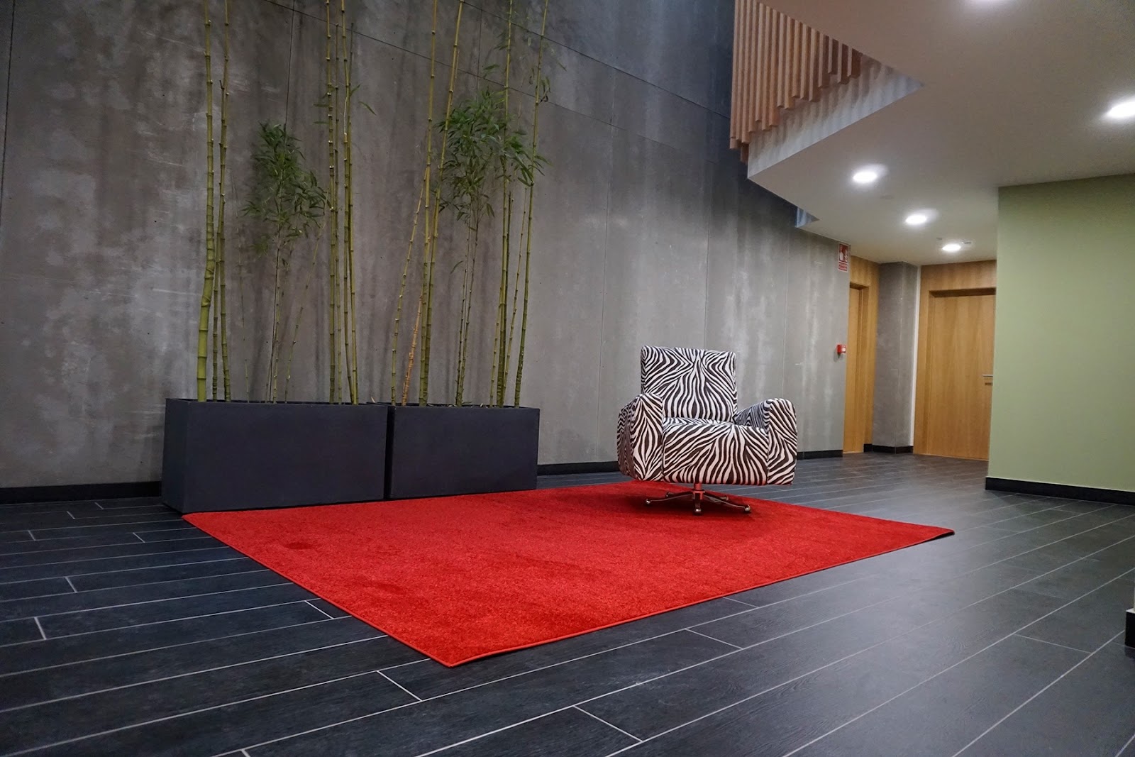 Apartamentos Lumen Place ABIERTO DESDE MARZO RESERVA PREVIA. photo 6, albergue accommodation in Mondoñedo on the Camino del Norte