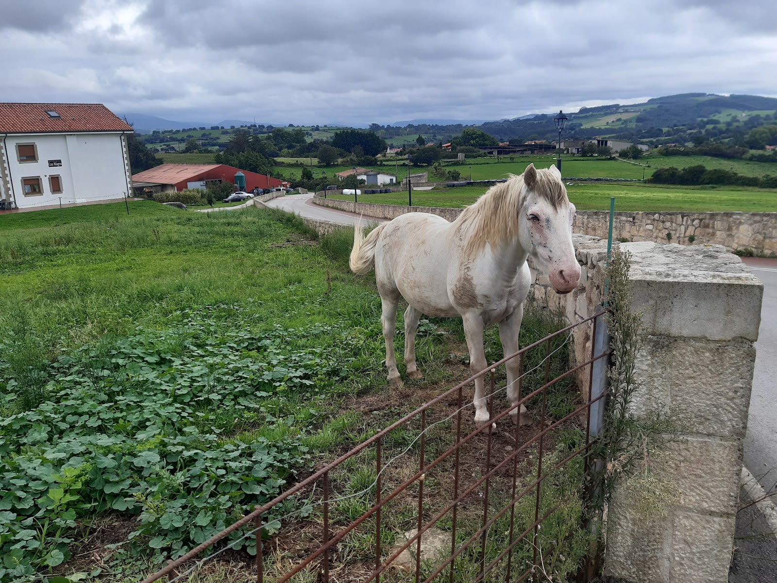 Hospedaje Casa Milagros photo 10, guesthouse accommodation in Santillana del Mar on the Camino del Norte