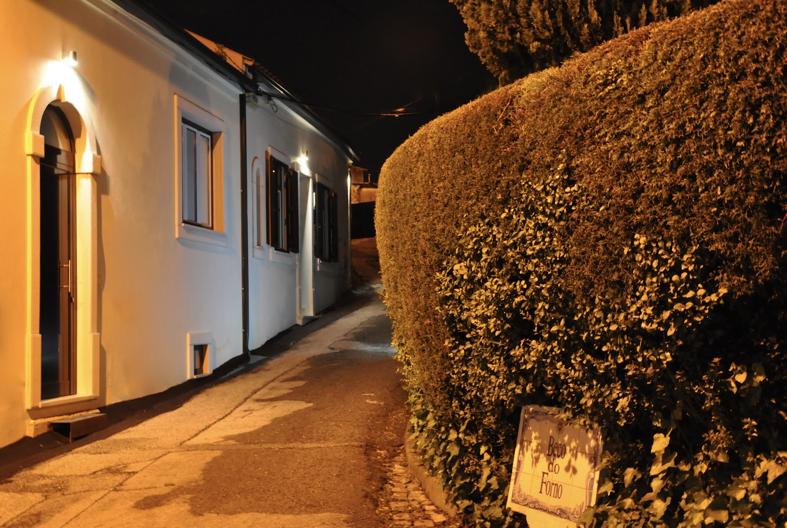Confluentia - Believe It or Not Apartments photo 6, guesthouse accommodation in Coimbra on the Camino Portuguese