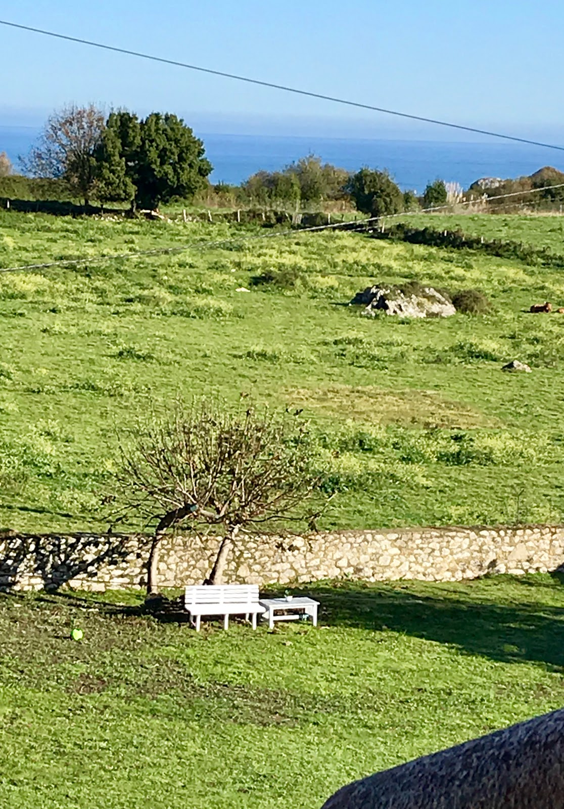 Apartments Rural La Canalina photo 8, apartment accommodation in Villahormes on the Camino del Norte