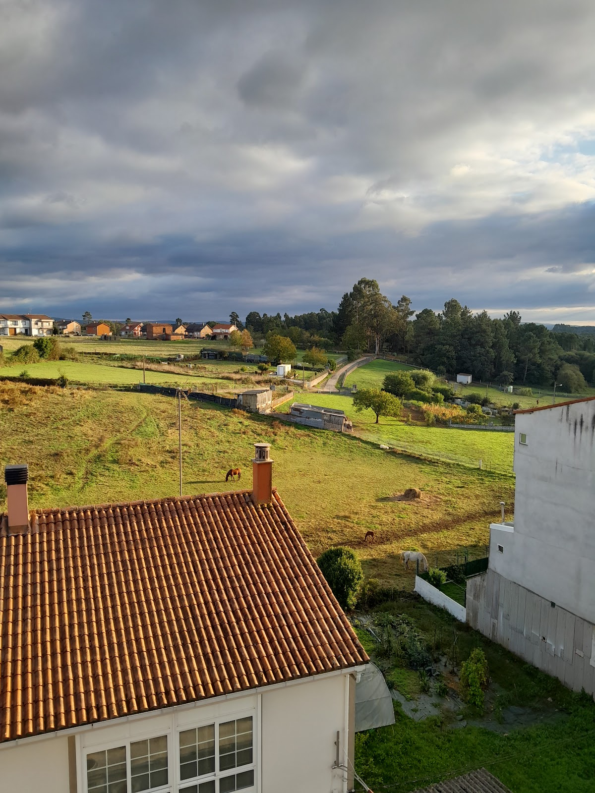 Pensión A Codeseira, guesthouse accommodation in Melide on the Camino Frances