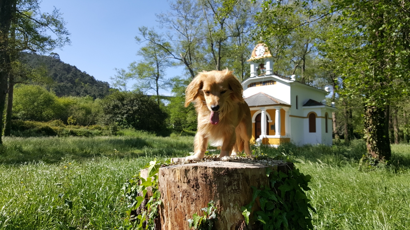Hostal El Redondel, accommodation listing in Almuña on the Camino del Norte