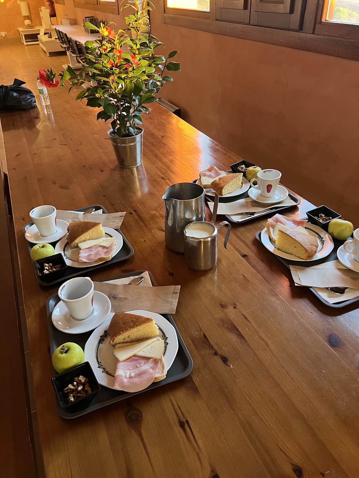 Ikigai Albergue photo 5, hostel accommodation in Navarrete on the Camino Frances