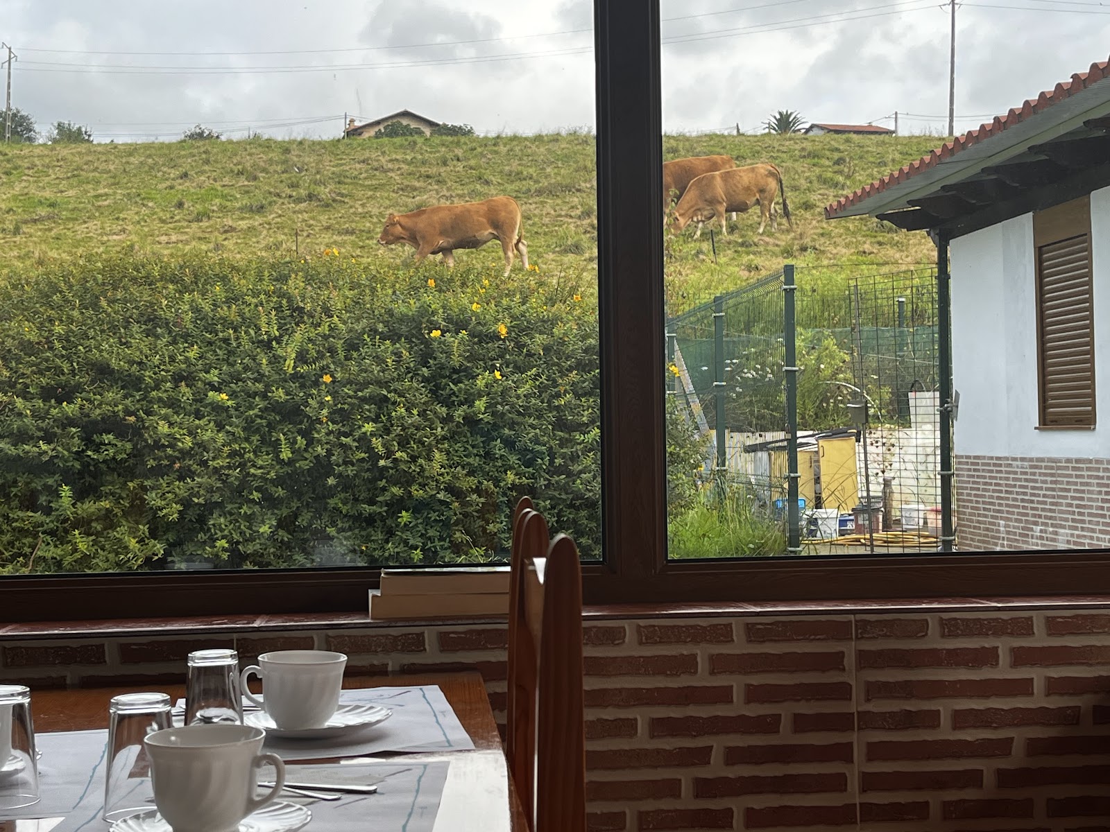 Posada Adela photo 8, albergue accommodation in Santillana del Mar on the Camino del Norte
