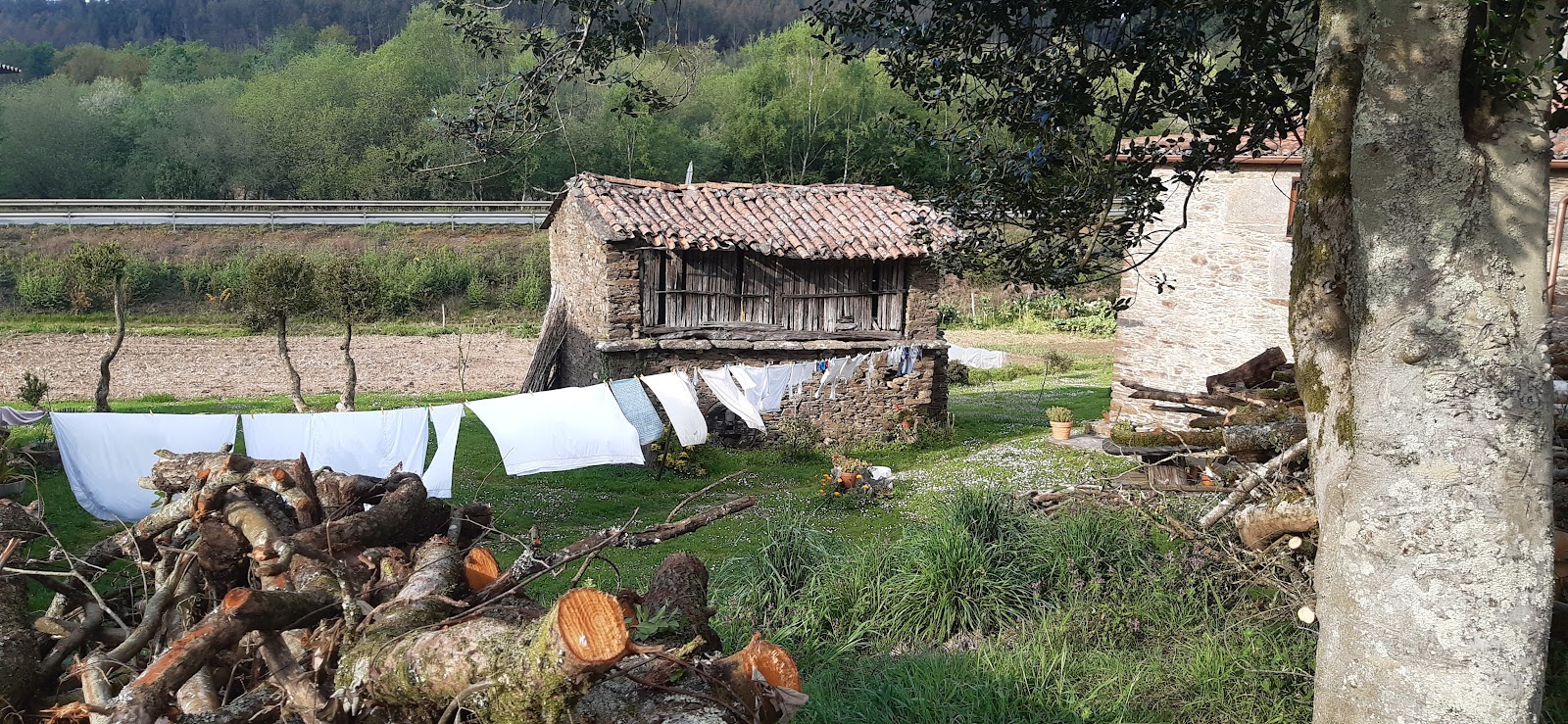 Alojamiento Santa Irene, albergue accommodation in Santa Irene on the Camino Frances