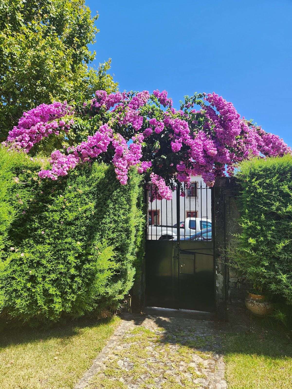 Casa da Freiria photo 4, guesthouse accommodation in Ponte de Lima on the Camino Portuguese