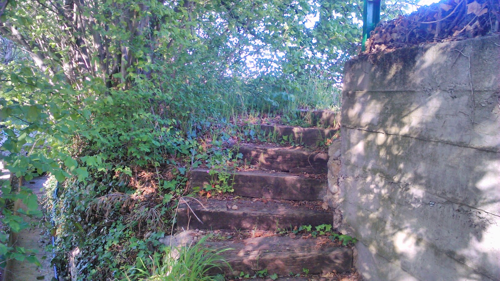 Albergue El Salto photo 8, hostel accommodation in Belorado on the Camino Frances