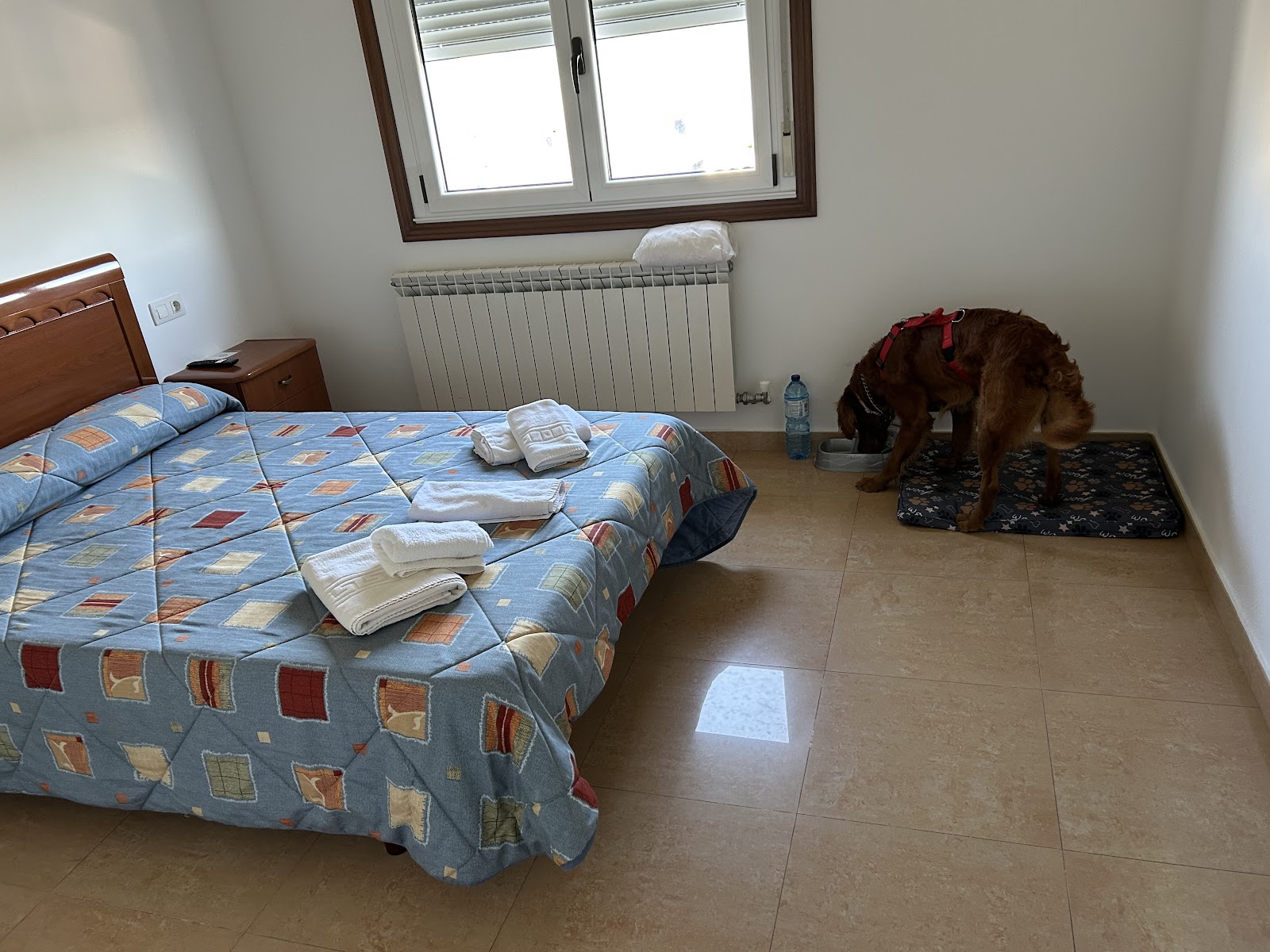 Pensión El Caminante photo 8, guesthouse accommodation in Portomarin on the Camino Frances