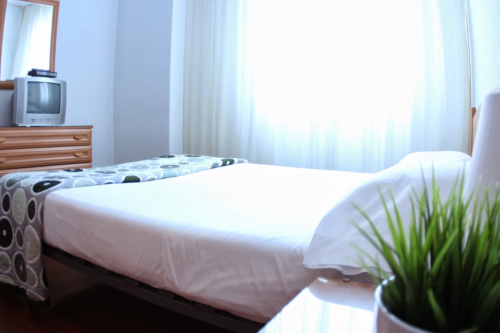 Zubia Urban Rooms photo 4, pension accommodation in Bilbao on the Camino del Norte