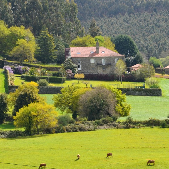 Casa Rural Pazo de Sedor photo 9, accommodation listing in Castañeda on the Camino Frances