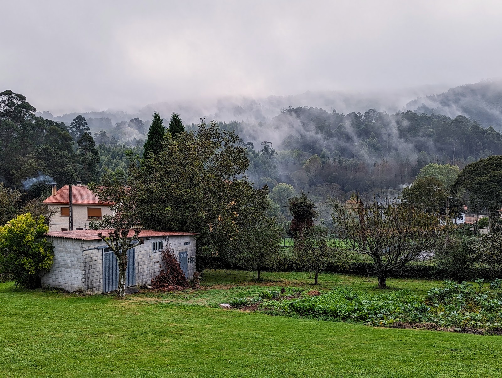 Pension Peregrina 3, guesthouse accommodation in Pedrouze / Arca on the Camino Frances