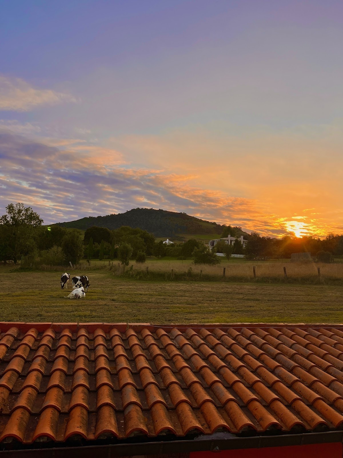 Hostal Mari Carmen photo 9, pension accommodation in Capilla del Barrio Pereo on the Camino del Norte