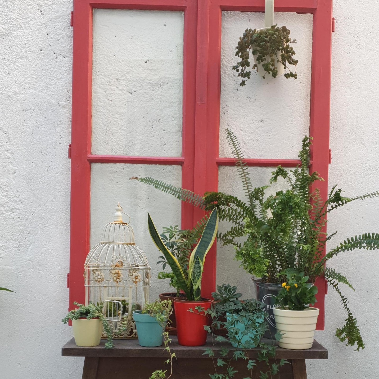 República Guest House photo 10, accommodation listing in Coimbra on the Camino Portuguese