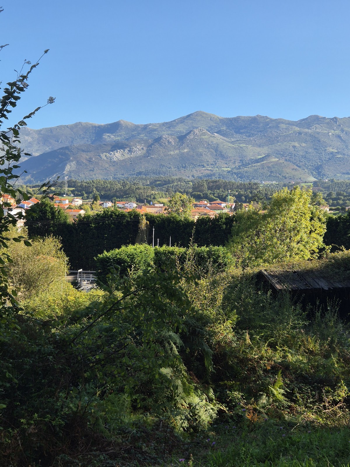 Hotel Entreviñes photo 5, hotel accommodation in Colunga on the Camino del Norte