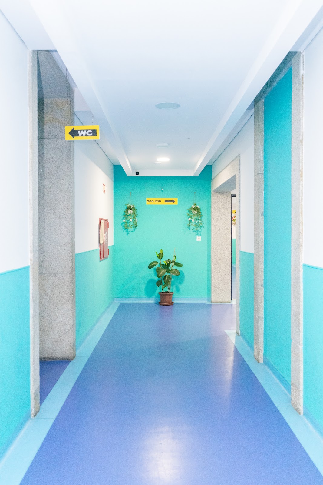 Fantasy Hostel Porto photo 10, hostel accommodation in Porto on the Camino Portuguese