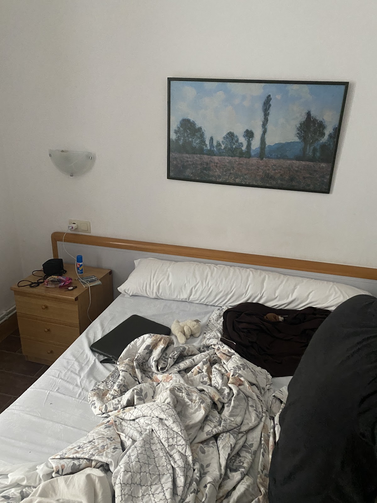 San Telmo pentsioa photo 8, pension accommodation in San Sebastian on the Camino del Norte