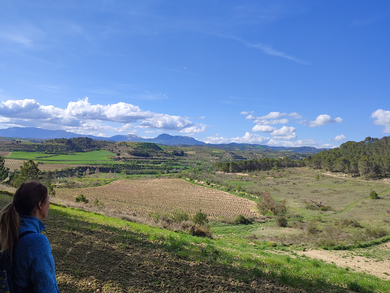 Casa palaciega doña Leocadia photo 8, guesthouse accommodation in Viana on the Camino Frances