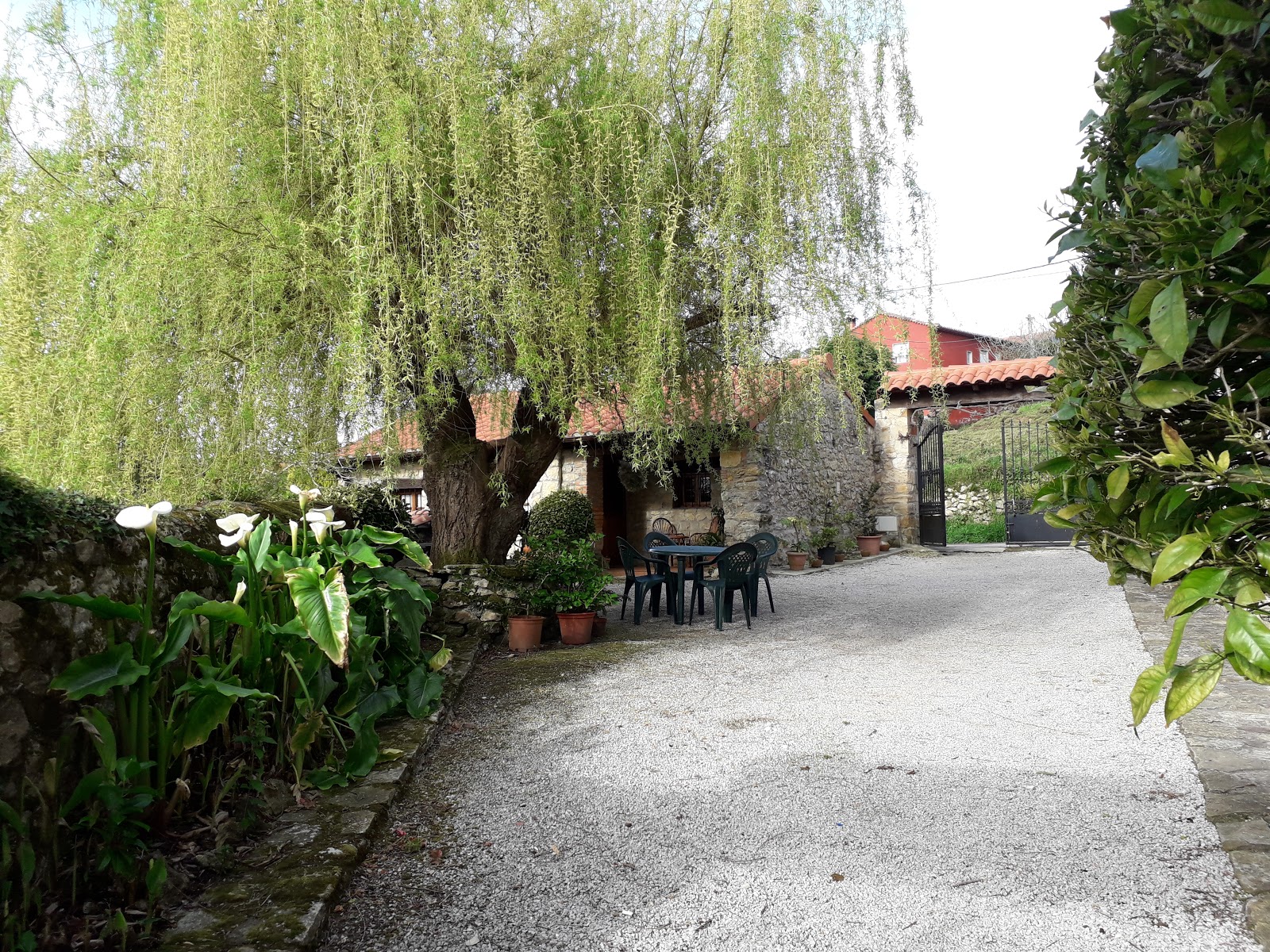 Apartamentos Fernando photo 6, apartment accommodation in Santillana del Mar on the Camino del Norte