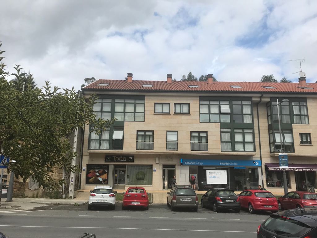 APARTAMENTO GOOD WAY photo 2, apartment accommodation in Pedrouze / Arca on the Camino Frances