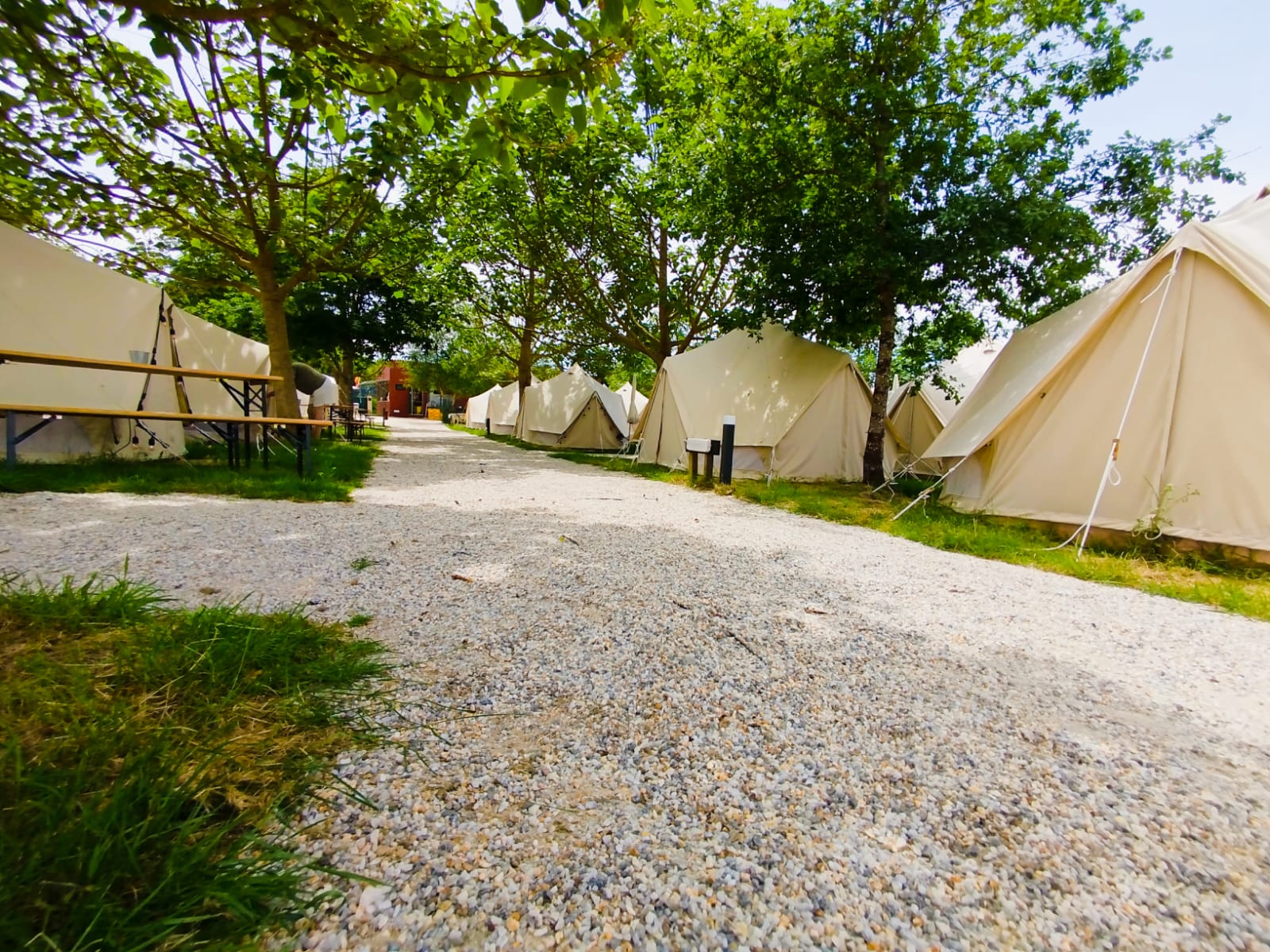 O Pedrouzo Pilgrim Camp photo 9, camping accommodation in A Rua on the Camino Frances