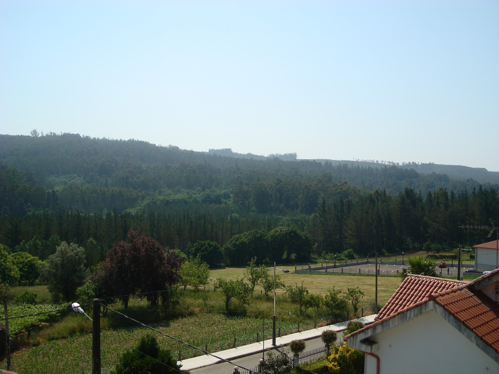 Pensión A Solaina, pension accommodation in Pedrouze / Arca on the Camino Frances