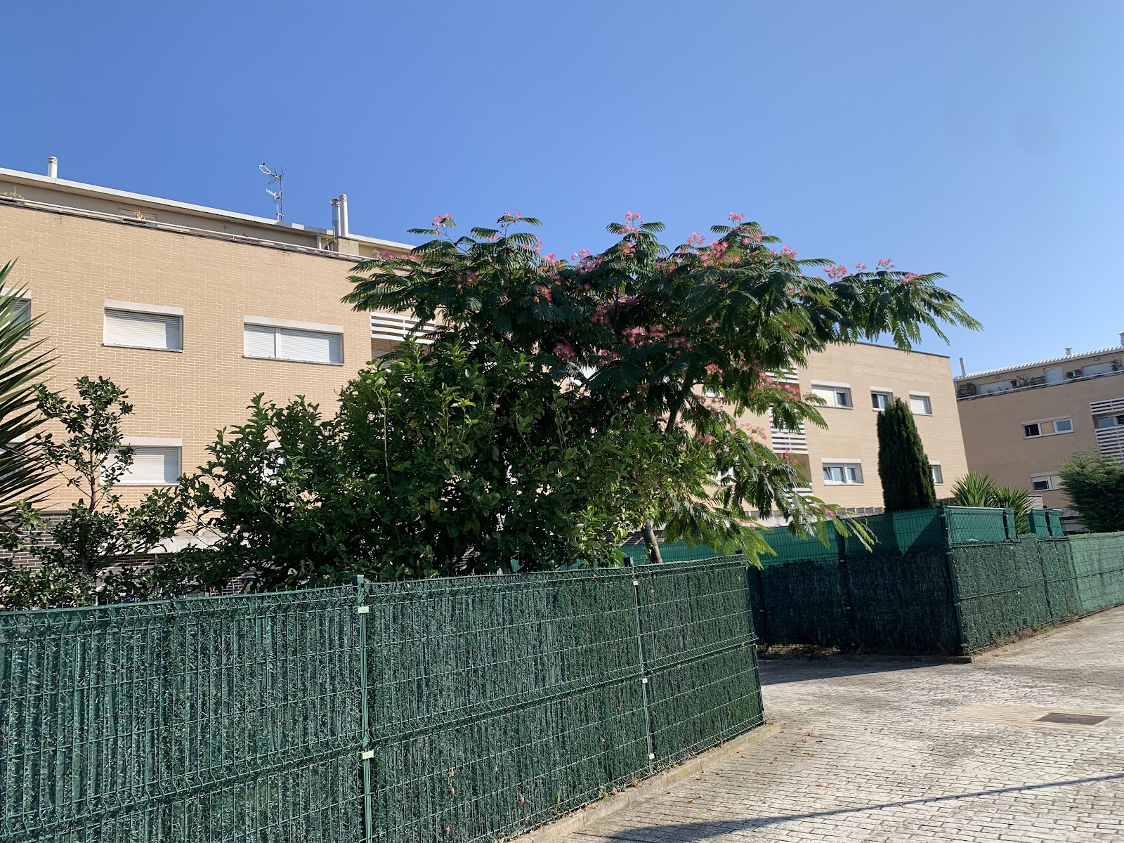 Apartamentos Olga Cantabria, apartment accommodation in Requejada on the Camino del Norte