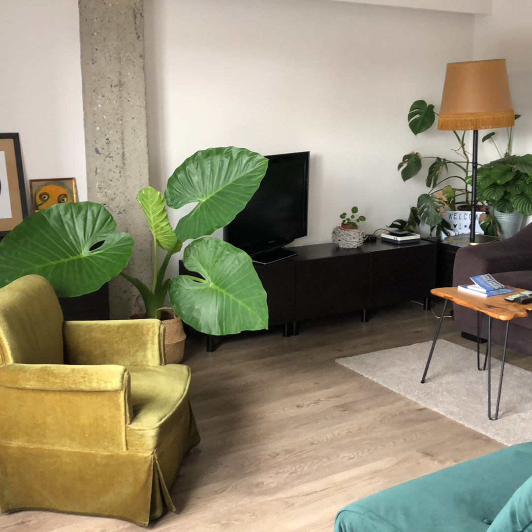 Apartamento Egia photo 9, apartment accommodation in San Sebastian on the Camino del Norte