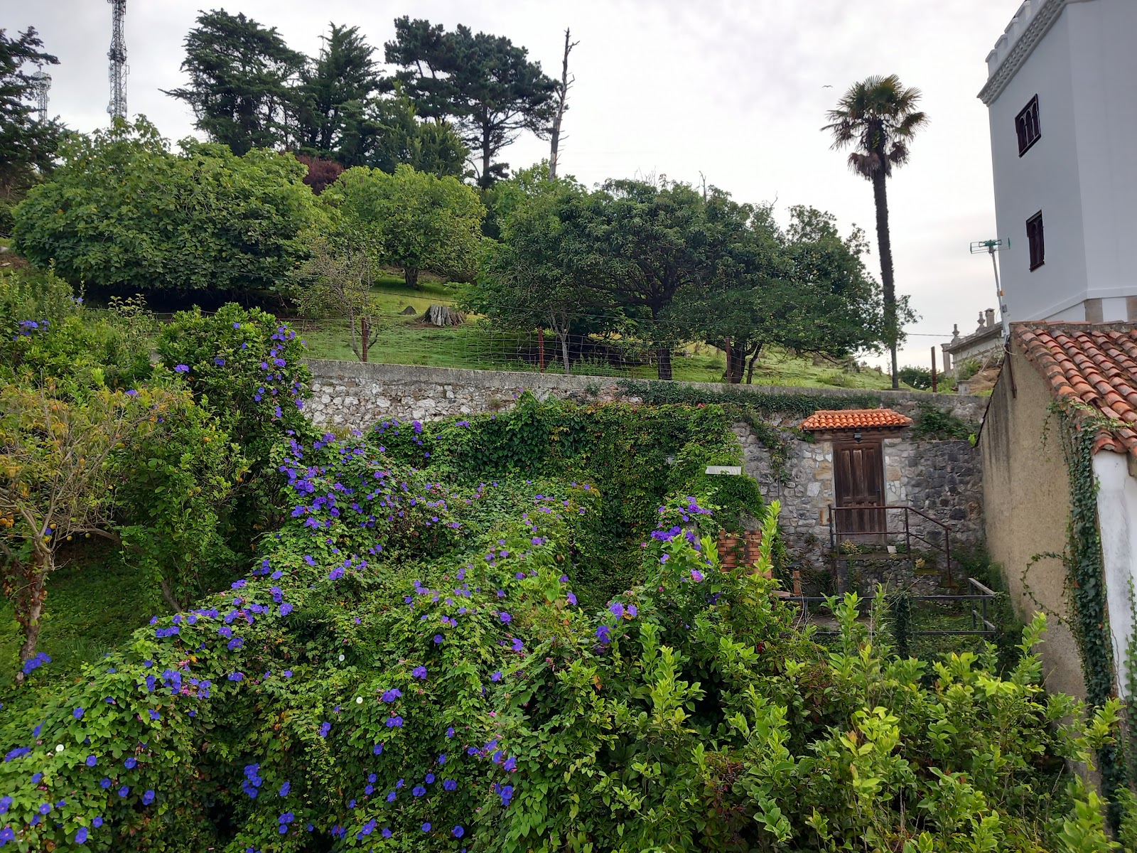 Pensión Argüelles, pension accommodation in Ribadesella on the Camino del Norte