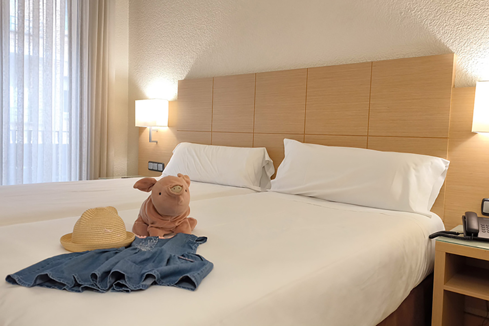 Hotel Condes de Haro - Logroño photo 2, hotel accommodation in Logroño on the Camino Frances