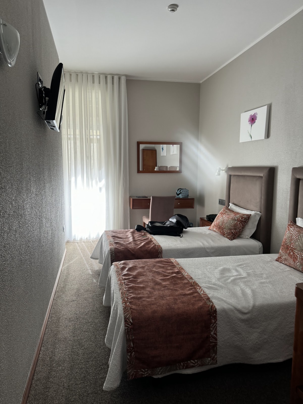Lusitana Hotel photo 6, hotel accommodation in Porto on the Camino Portuguese