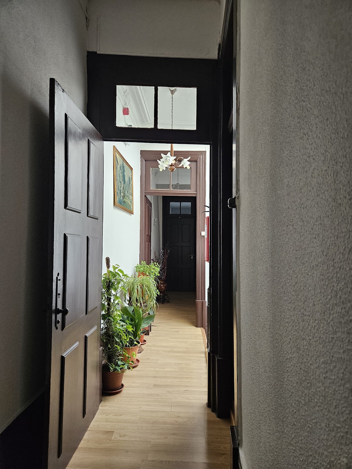 Hostal Almada Guest House photo 9, guesthouse accommodation in Porto on the Camino Portuguese