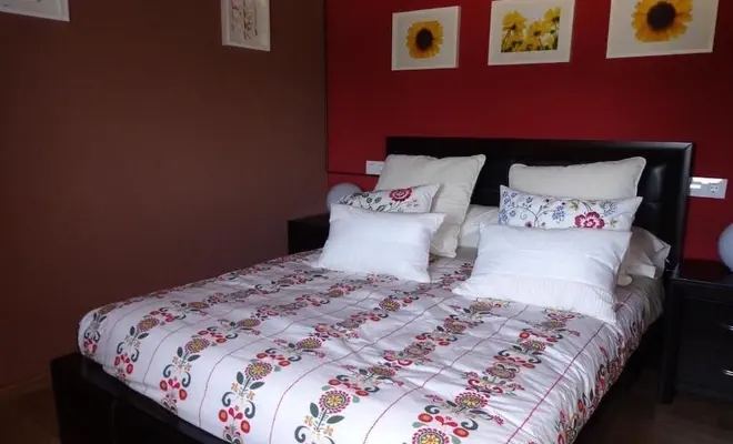 Casa Das Airas photo 7, guesthouse accommodation in Barbadelo on the Camino Frances