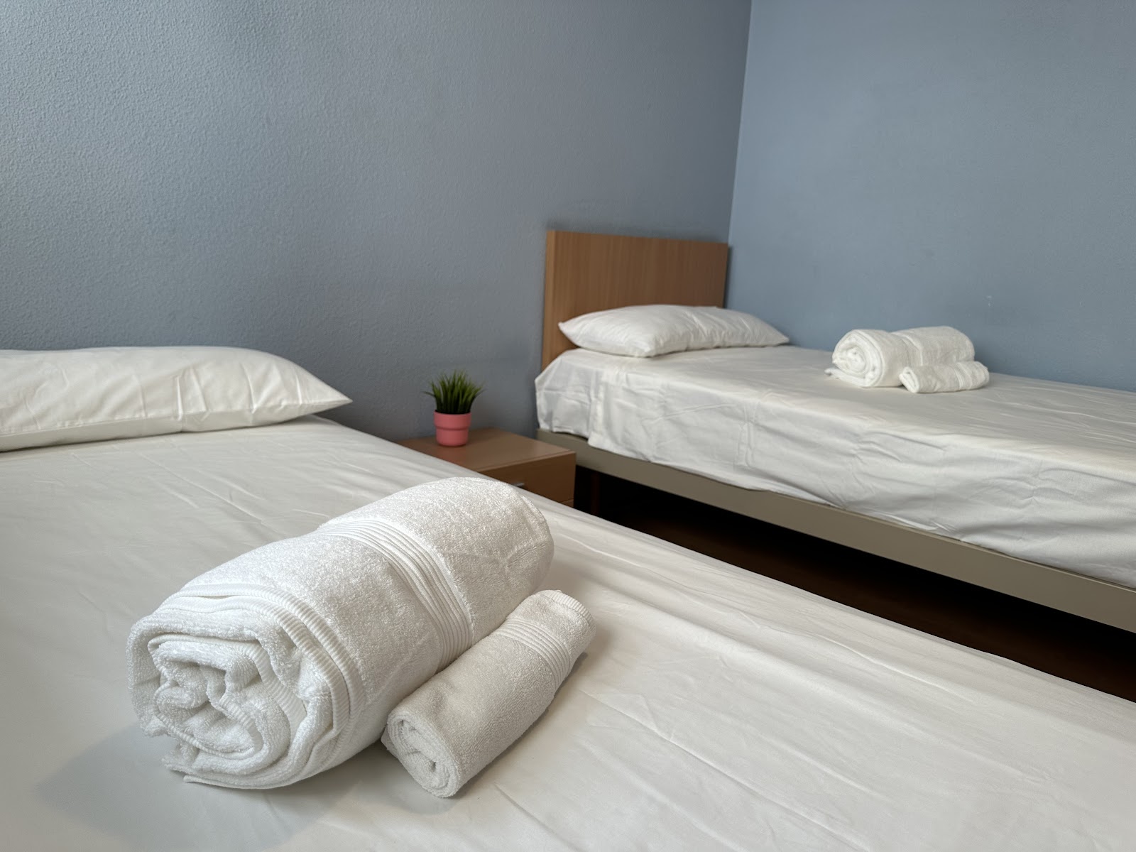 mikasita Pamplona Centro - student housing & coliving photo 4, hostel accommodation in Pamplona on the Camino Frances