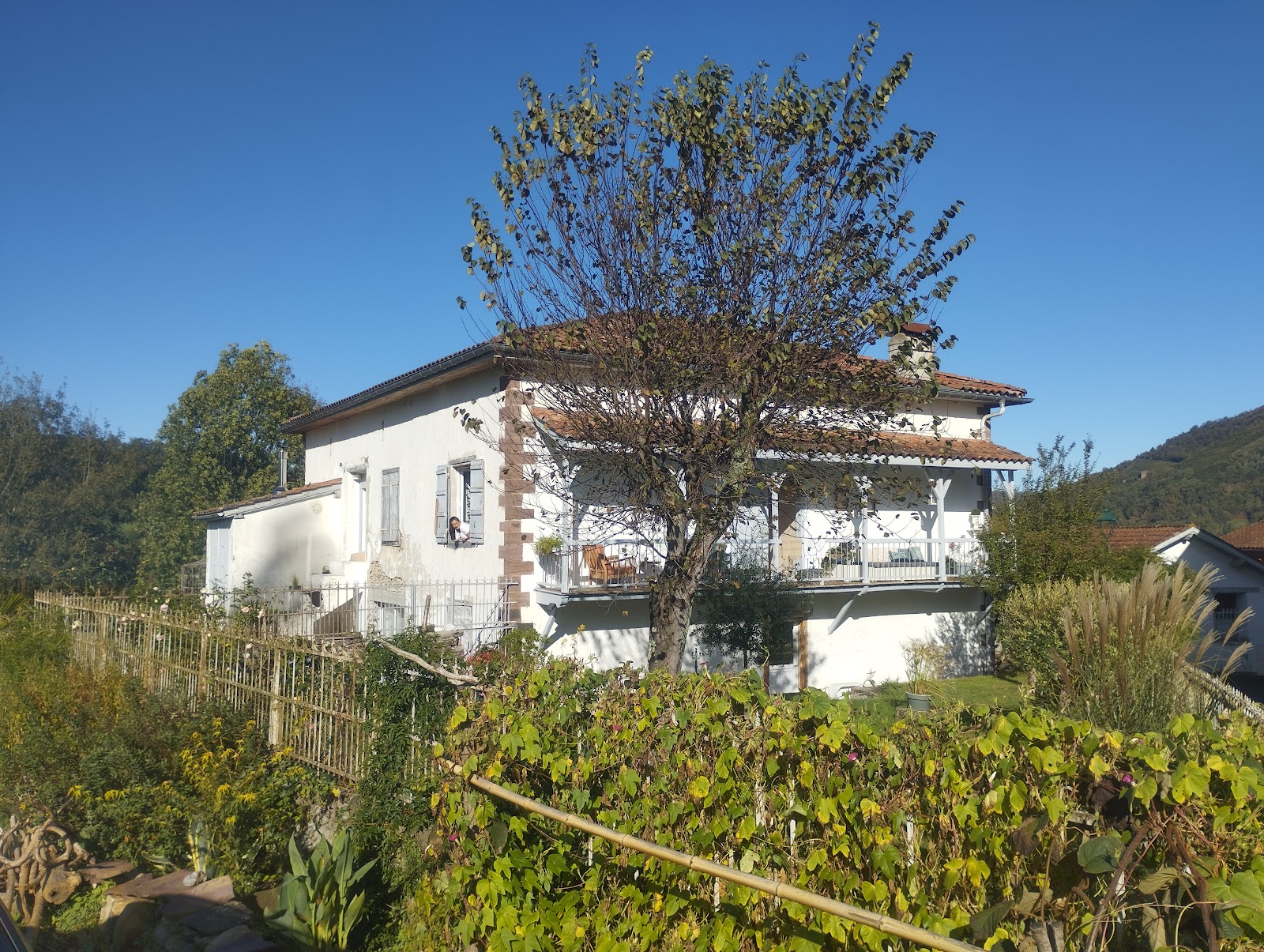 Maison d'hôtes pèlerine Larraldia st jean pied de port photo 3, accommodation listing in St Jean Pied de Port on the Camino Frances